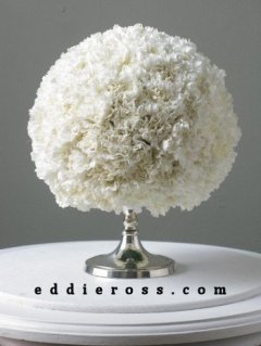 carnations lush and lovely by eddieross.com.jpg
